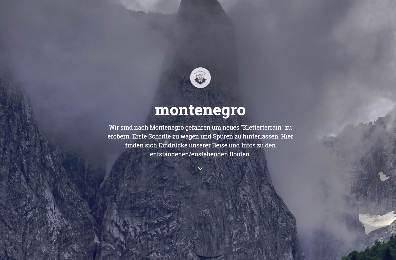 website montenegro